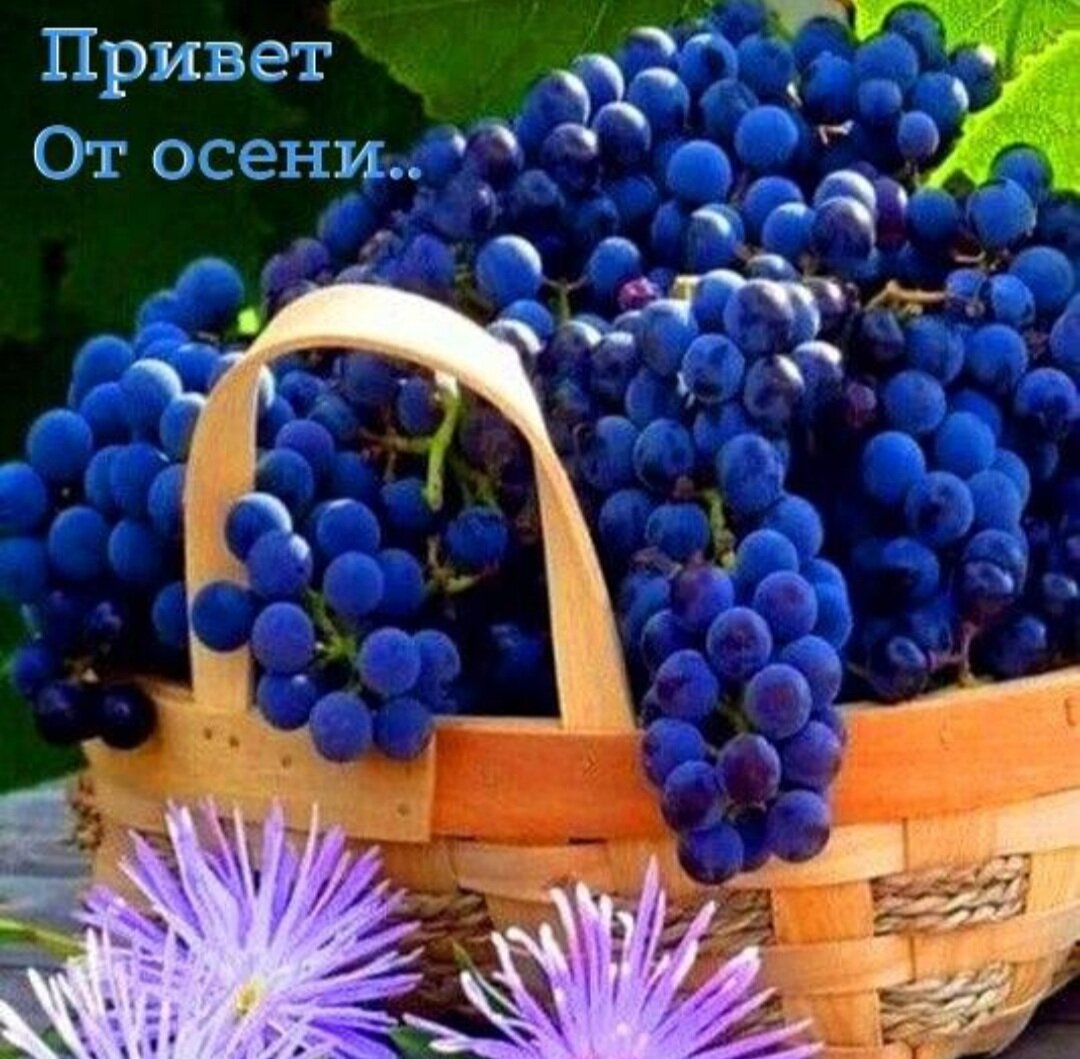 Вот посмотрела хороший фильм.