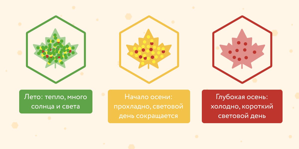 Скриншот взят с сайта: https://media.foxford.ru/