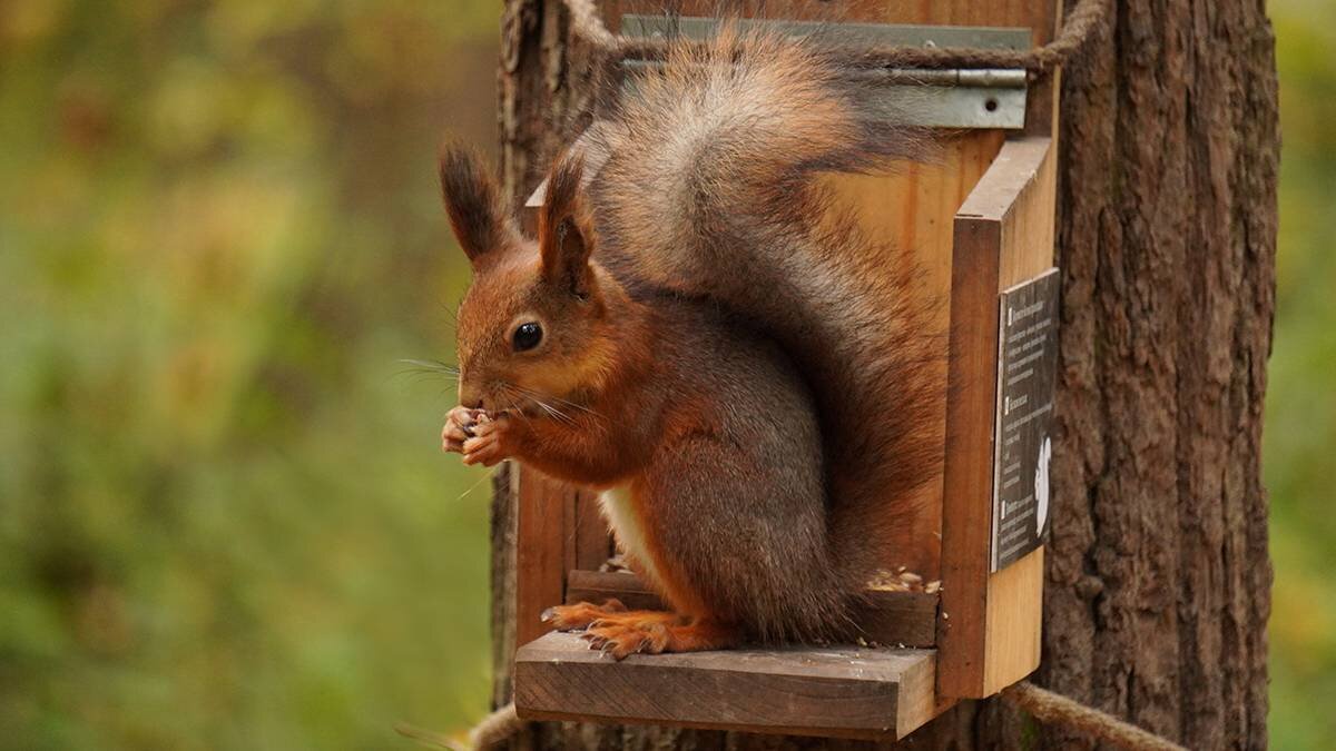    Фото: Анатолий Цымбалюк / Вечерняя Москва