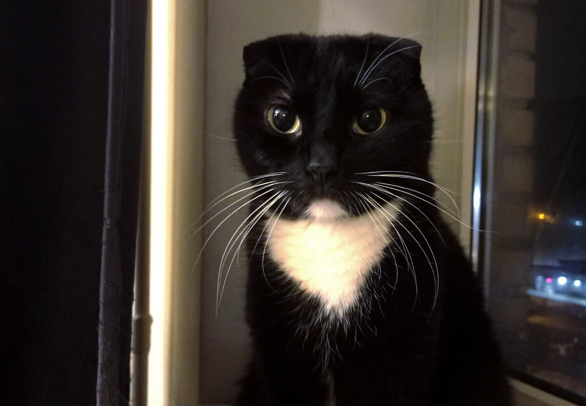 Сурен, не пьёт, не курит, имеет шикарные усы, никого не ищет☺