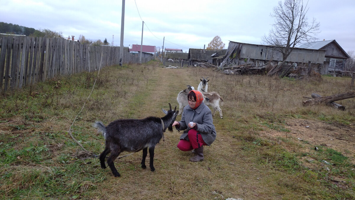 Пока не ёкнуло... 