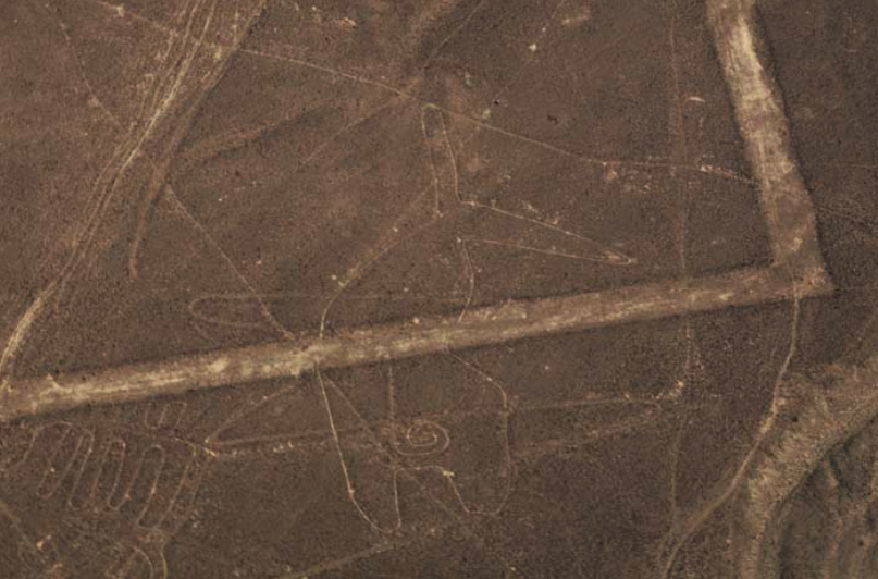 Изображение кита на плато Наска. Изображение взято из книги А. Ю. Склярова «Перу и Боливия задолго до инков», издательство ВЕЧЕ, 2011 