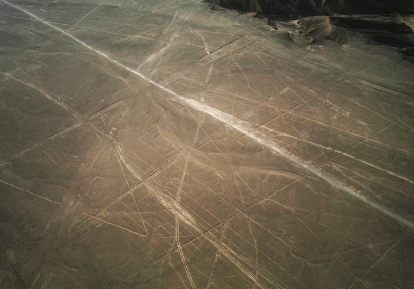 Геоглифы плато Наска. Изображение взято из книги А. Ю. Склярова «Перу и Боливия задолго до инков», издательство ВЕЧЕ, 2011 