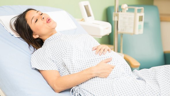    Фото: antoniodiaz / Shutterstock / Fotodom