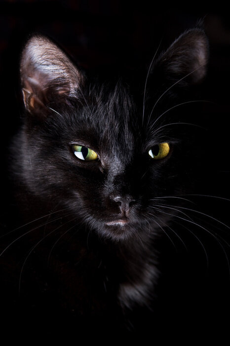   -      . : banana.by