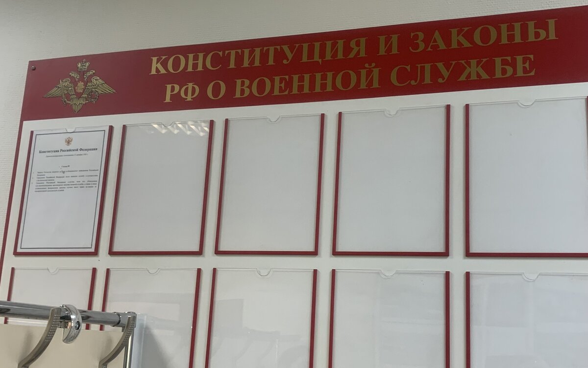 Борьба с московским военкоматом, продолжение | Трудности переезда:  Аргентина | Дзен