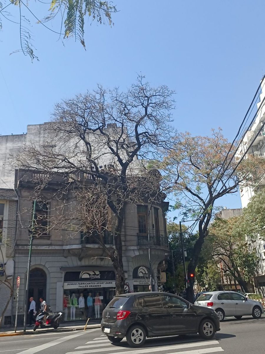 Покажу первое фото, там видно уже, что провода и деревья находятся очень близко.