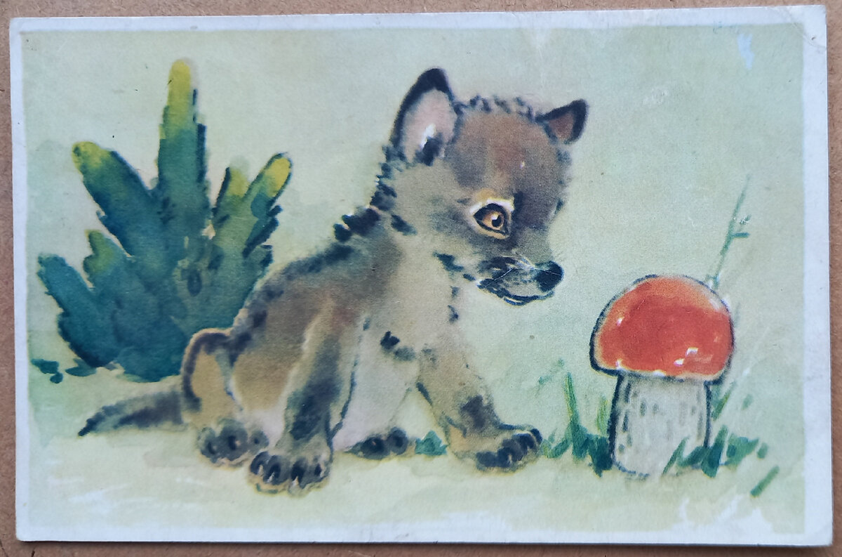 1970 г.. Художник Л. Гамбургер. "Волк и красная шапочка". Издательство "Изобразительное искусство". Москва. Тираж 660 000 экземпляров. Из коллекции автора.