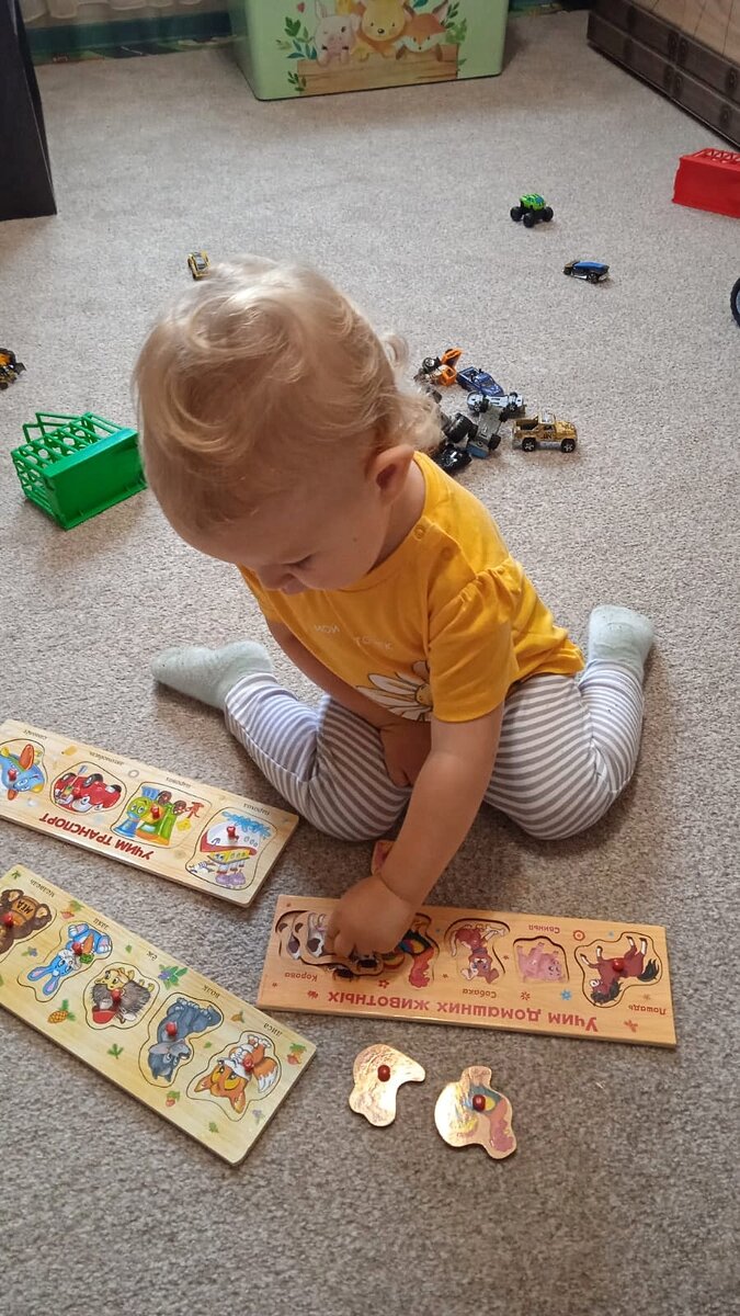 Это домашних животных