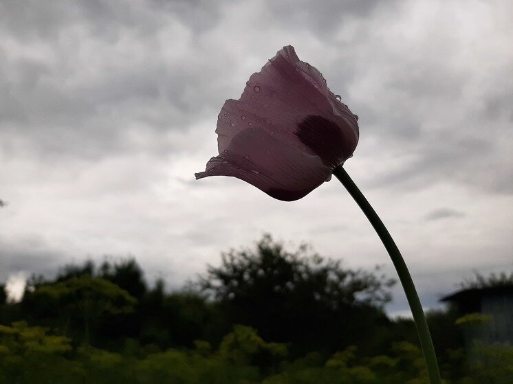     Фото: Евгений Кузнецов