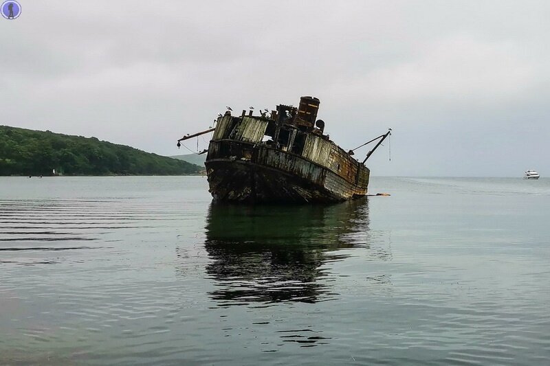 -61