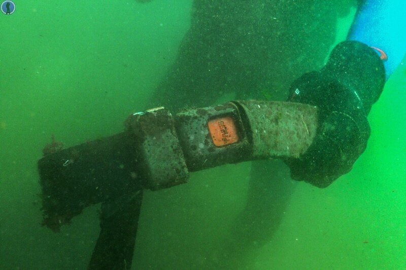 -81