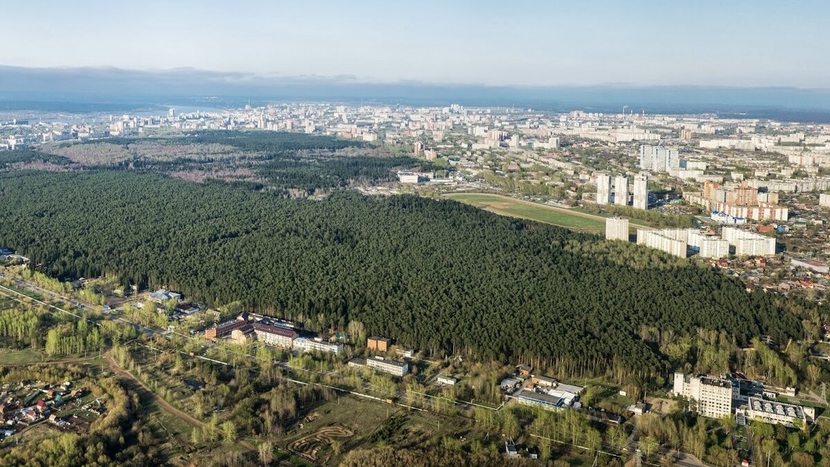 Городские леса.