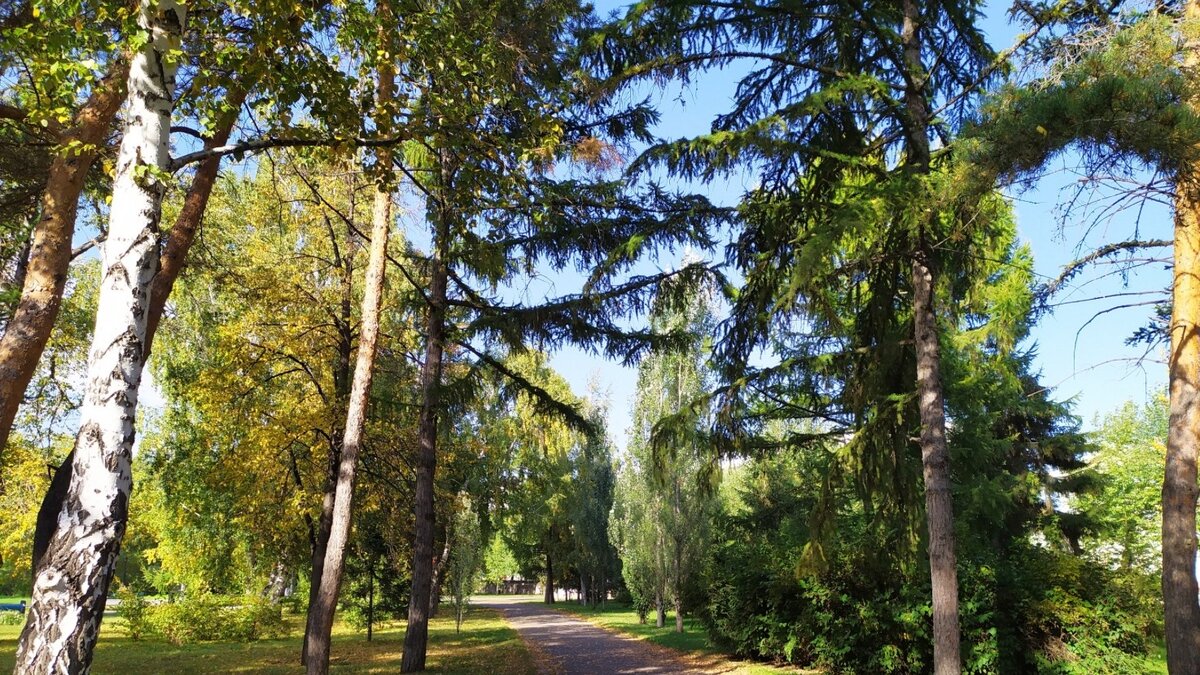     Комиссия по городской топонимике дала названия двум общественным пространствам во Владивостоке. Сквер на улице Адмирала Горшкова теперь носит имя бывшего командующего ТОФ Михаила Викторова. А сквер на улице Ильичева назвали в честь героя Советского Союза Петра Ильичева.