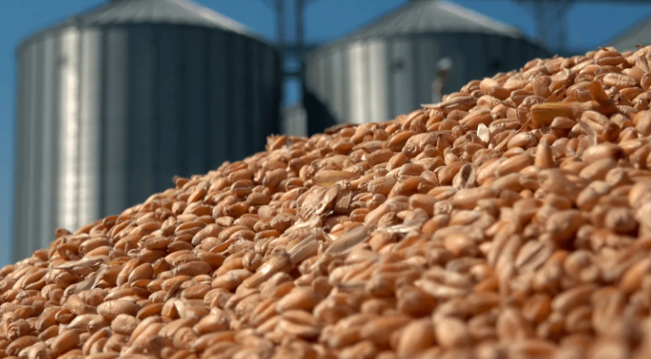 фото с сайта agropraktika.com