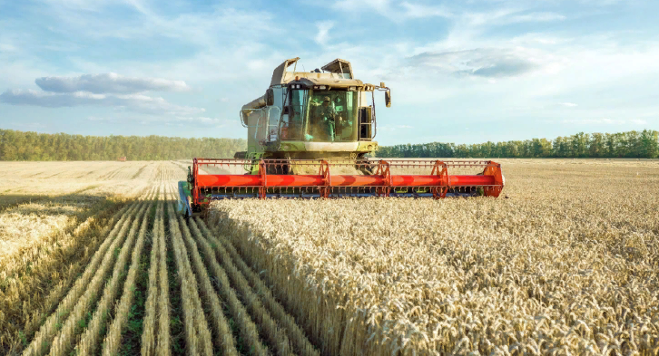 фото с сайта lt.sputniknews.ru