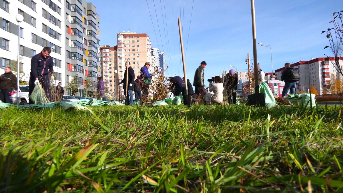    Сургутяне высадили около 600 деревьев и кустарников