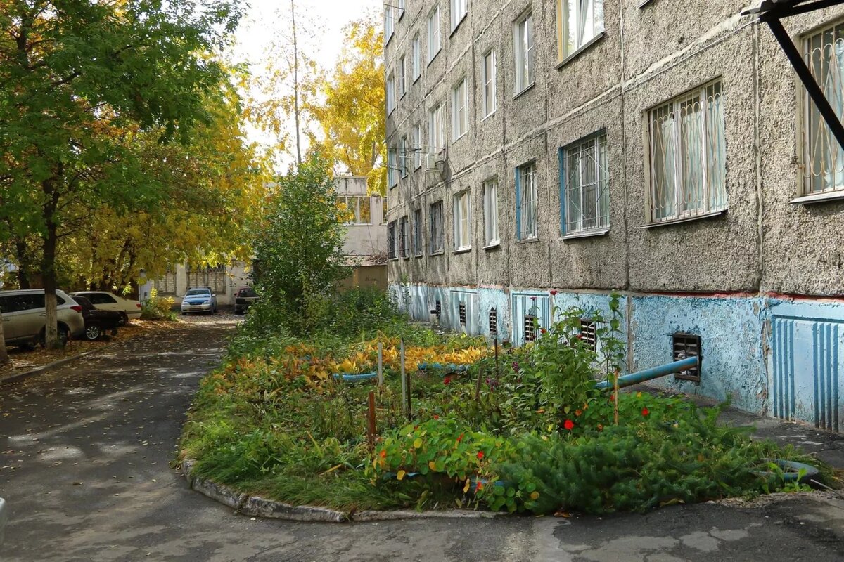 Тараканьи бега: жители барнаульской девятиэтажки страдают от нашествия  насекомых | ТОЛК | Дзен