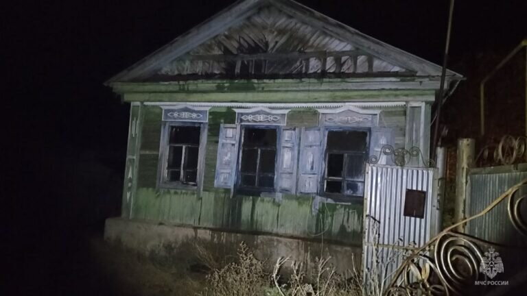    На пожаре в Пономаревском районе погиб мужчина, еще один травмирован Кристина Просвиркина