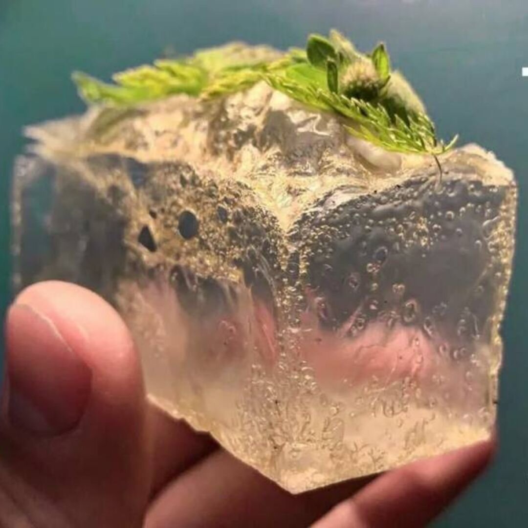 Или душистый листик 