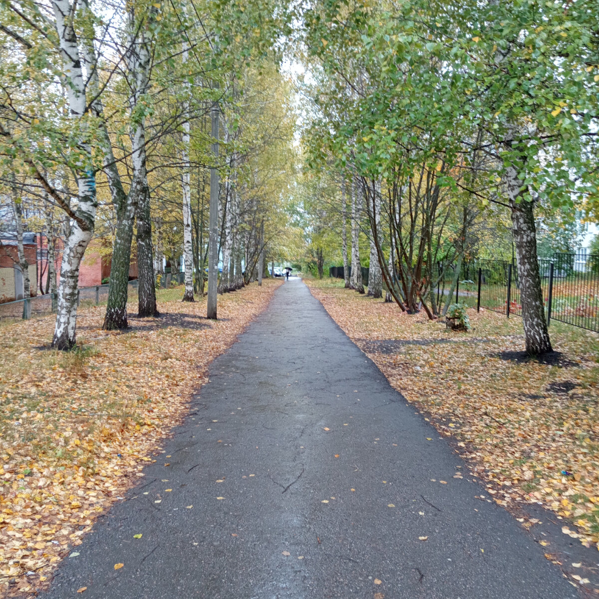 Фото не передаёт эти ощущения. Октябрь в городе