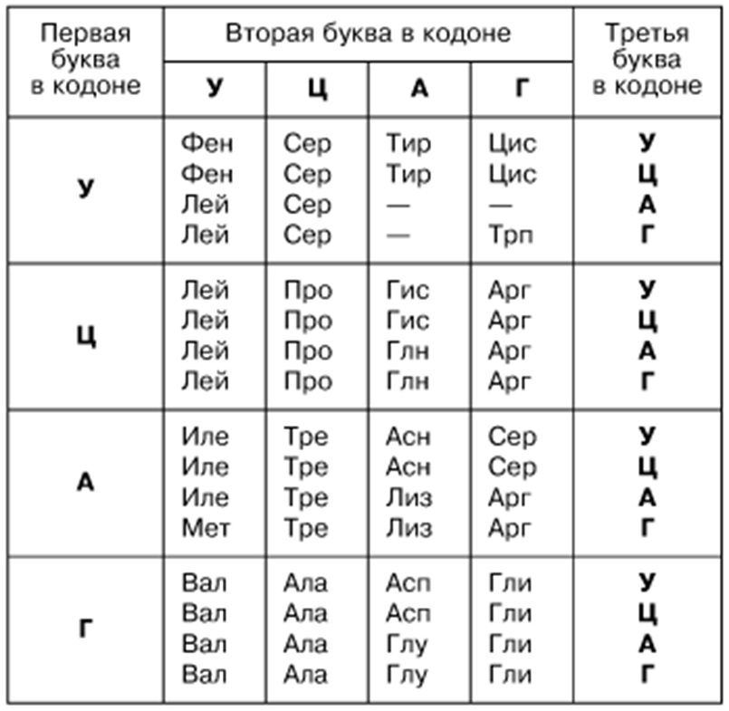 Скачать ответы и задания по биологии 11 класс Скачать ответы и задания по биологии 11 класс 1.В середине прошлого века в биологии широко использовался метод меченых атомов.-3