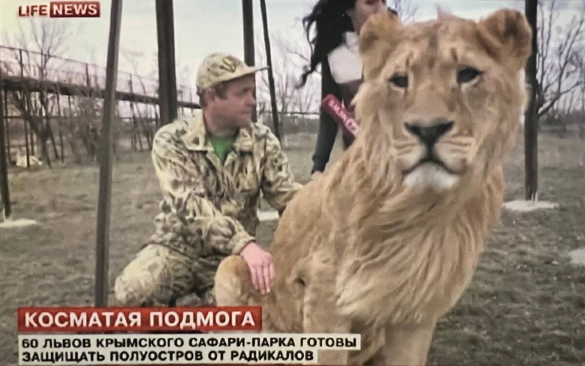 После увиденного на Майдане я готов был на всё, даже выпустить боевых львов, чтобы не допустить бандеровского произвола в любимом Крыму