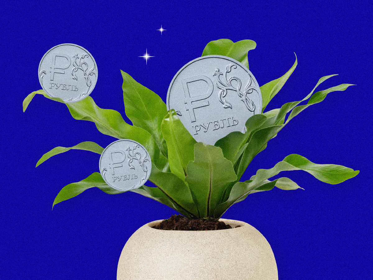 Деньги россиян хотят привлечь на долгосрочные вклады: эксперт рассказала о выгоде для вкладчиков