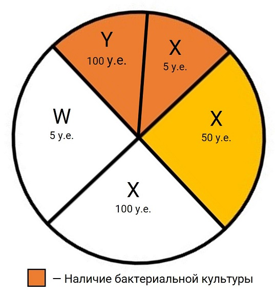 ❗️❗️СКАЧАТЬ ОТВЕТЫ И ЗАДАНИЯ - ТУТ❗️❗️ ❗️❗️СКАЧАТЬ ОТВЕТЫ И ЗАДАНИЯ - ТУТ❗️❗️ ❗️❗️СКАЧАТЬ ОТВЕТЫ И ЗАДАНИЯ - ТУТ❗️❗️ Блок 1 Задание 1:
На данном биологическом объекте был(а) открыт(а): Цикл Кальвина-13