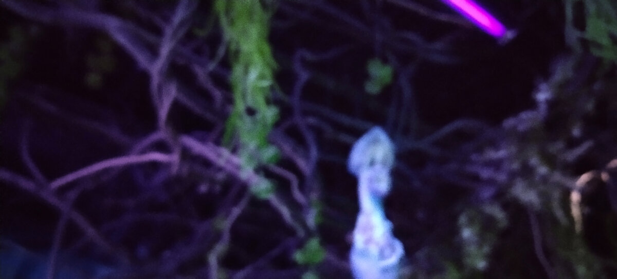 Фото автора канала