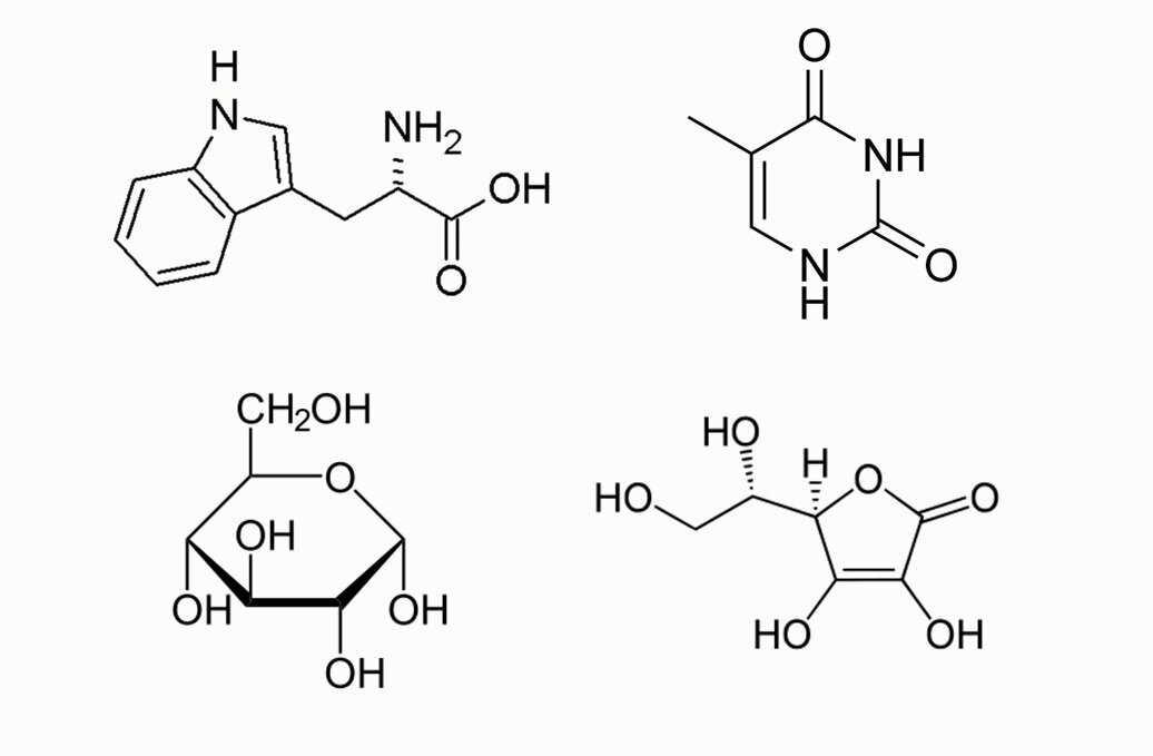 Донм логотип. Школьники на информатике. Lichens классификация. Одноклеточные животные инфузория туфелька. Муниципальный этап всероссийской олимпиады школьников 2022-2023.