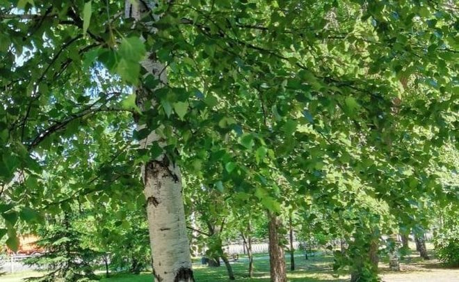 Фото: Лилия Габдрафикова, предоставлено realnoevremya.ru 