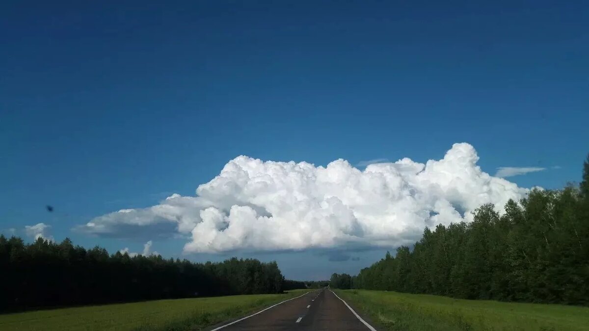     На строительство и реконструкцию трассы Р-239 Казань — Оренбург с обходом поселка Сокуры уйдет 19,2 млрд рублей. Работами займется АО «Алексеевскдорстрой». Такая информация указана на портале госзакупок.