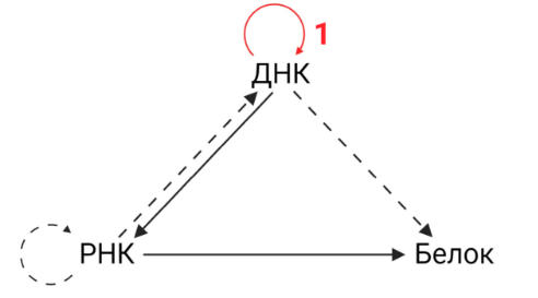 ❗️❗️СКАЧАТЬ ОТВЕТЫ И ЗАДАНИЯ - ТУТ❗️❗️ Блок 1 Задание 1:При катионообменной хроматографии в качестве неподвижной фазы выступает вещество, содержащее отрицательно заряженные группы, например,...-7