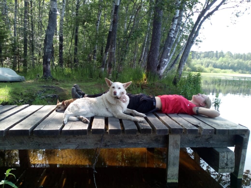 Фото с восьмичасовой прогулки вокруг Гладышевского озера