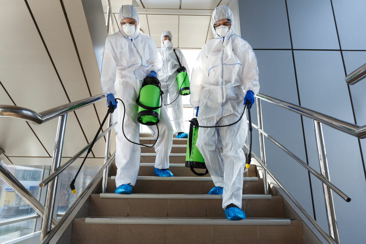 Sterilization and disinfection companies in Riyadh