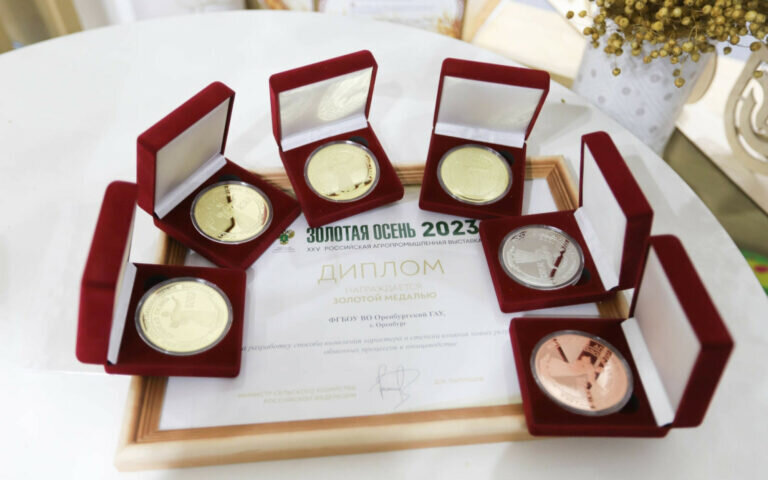    Оренбуржцы с Российской агропромышленной выставки «Золотая осень-2023» привезли 43 медали Кристина Просвиркина