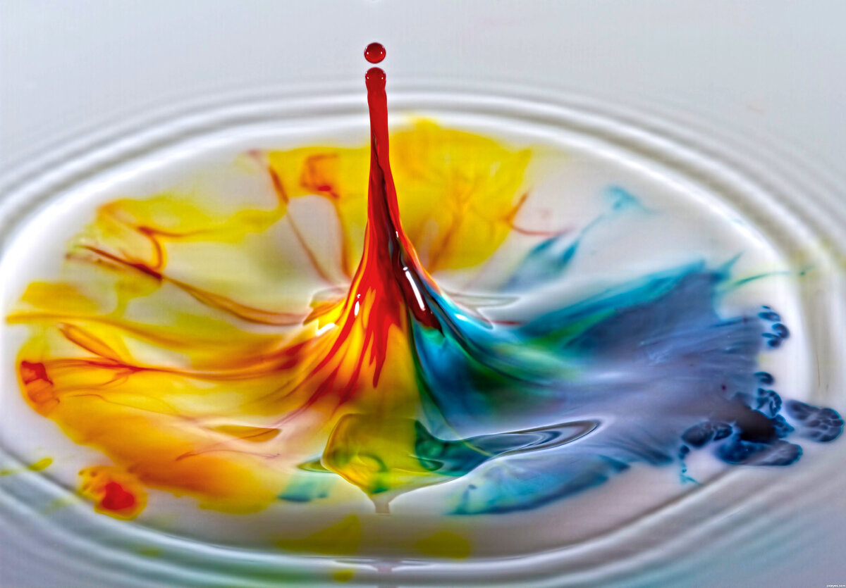 Необычные опыты для дошкольников. Эксперименты с красками. Эксперименты с красками. Опыты с окрашиванием растений. Краска в воде.