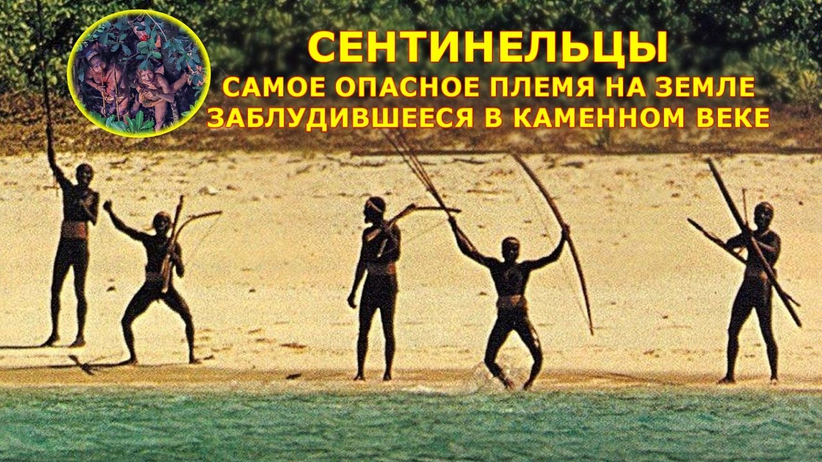 Что такое племя. Северный Сентинельский остров Индия. Сентинельский остров Флора. 6. Сентинельский остров. Северный Сентинельский остров аборигены фото