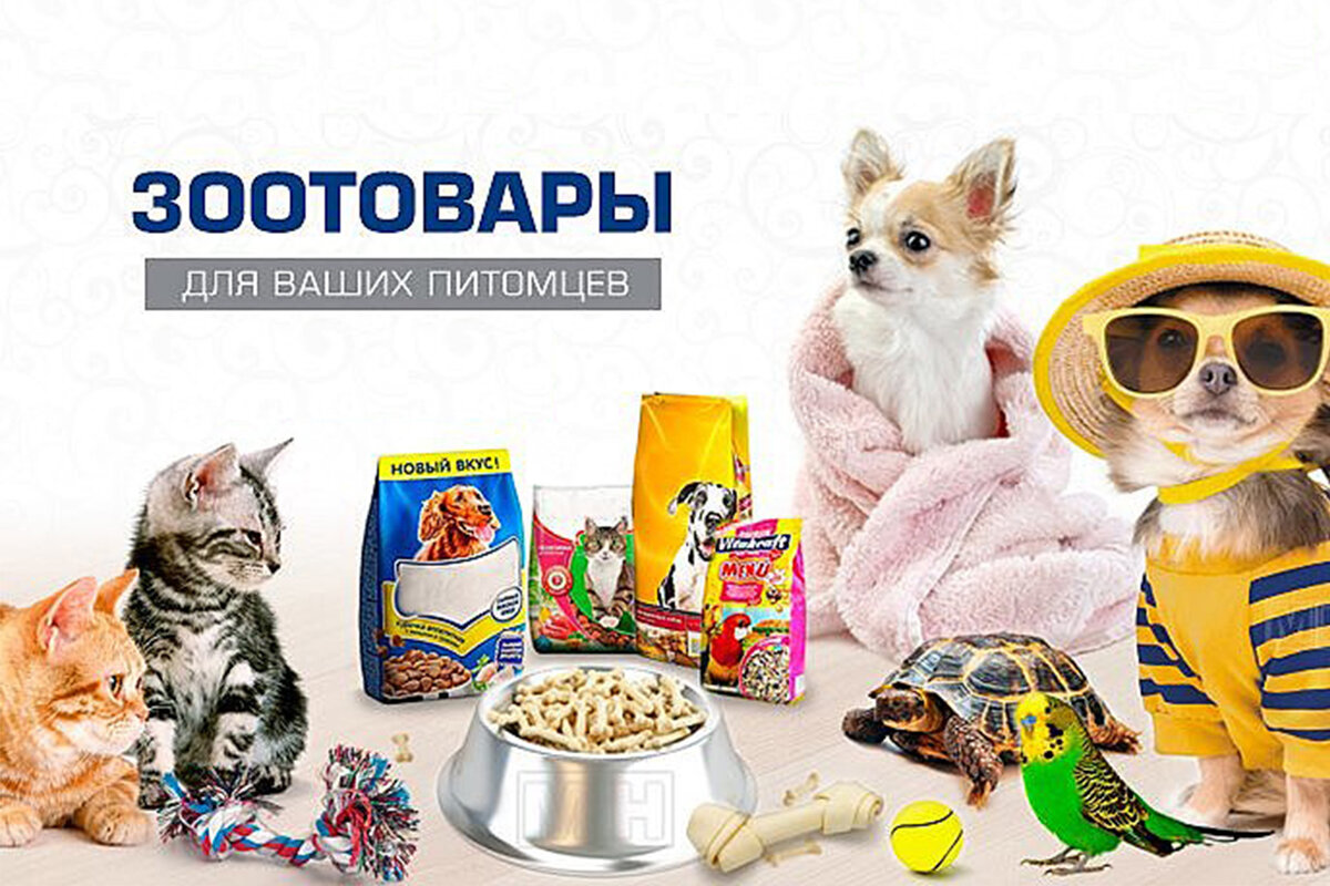 Фото из интернета.