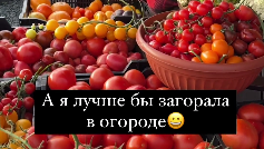 Нетипичный фермер | КОГДА БАНКИ И МЕСТО ПОД КОНСЕРВАЦИЮ УЖЕ ЗАКОНЧИЛОСЬ ...