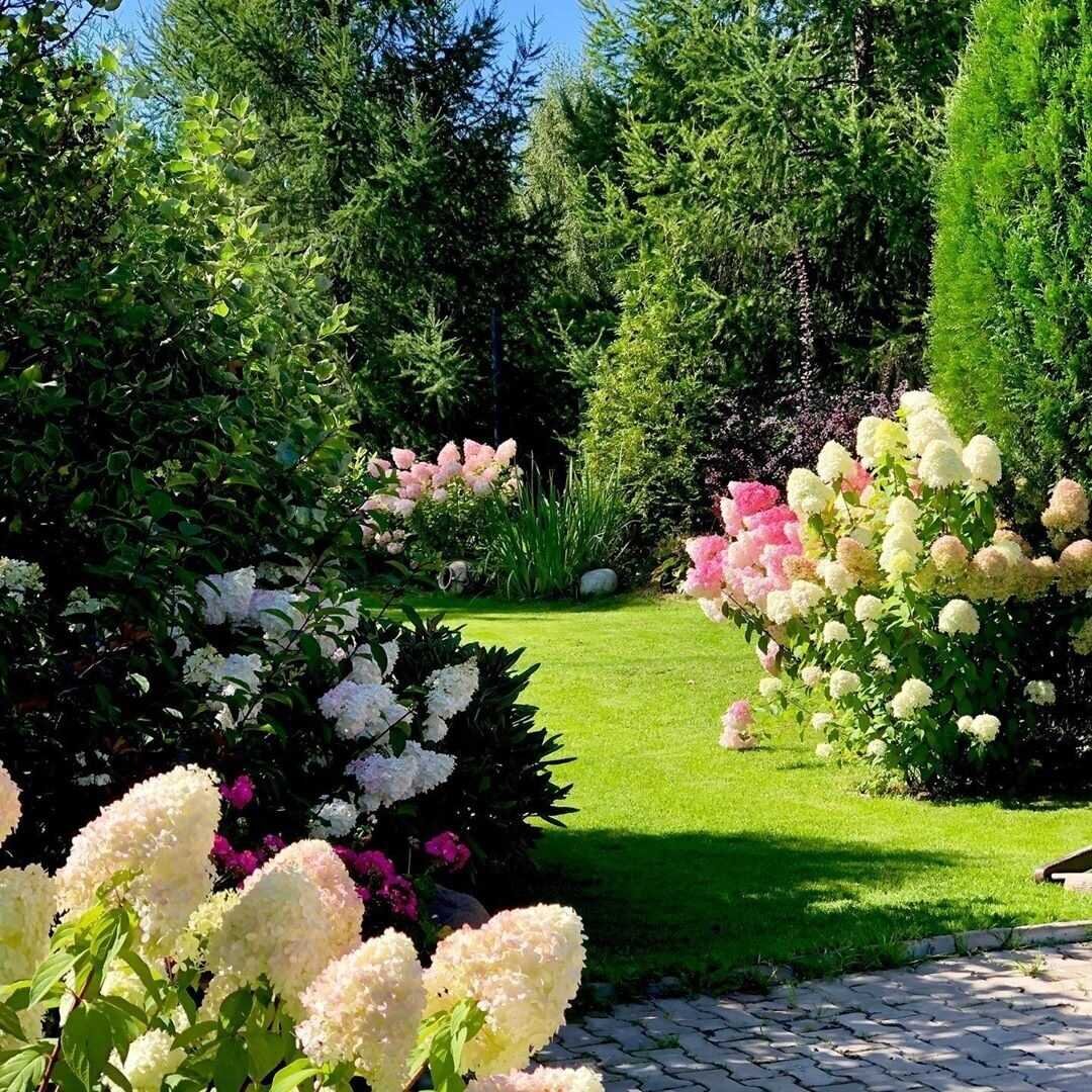 композиции в саду с гортензиями) фото не мое) 