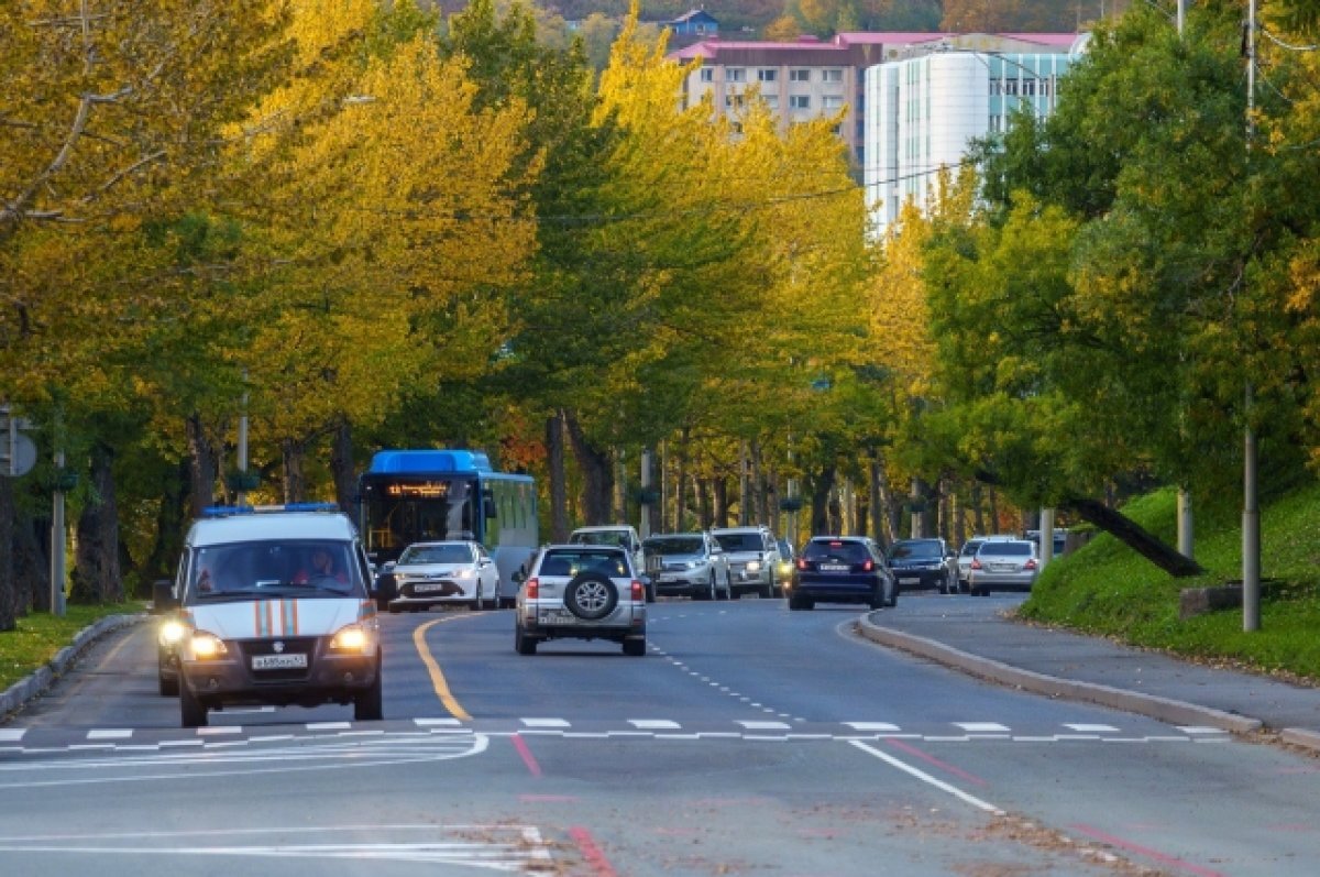    В Камчатском крае снимают фильм об отечественном рыбном промысле