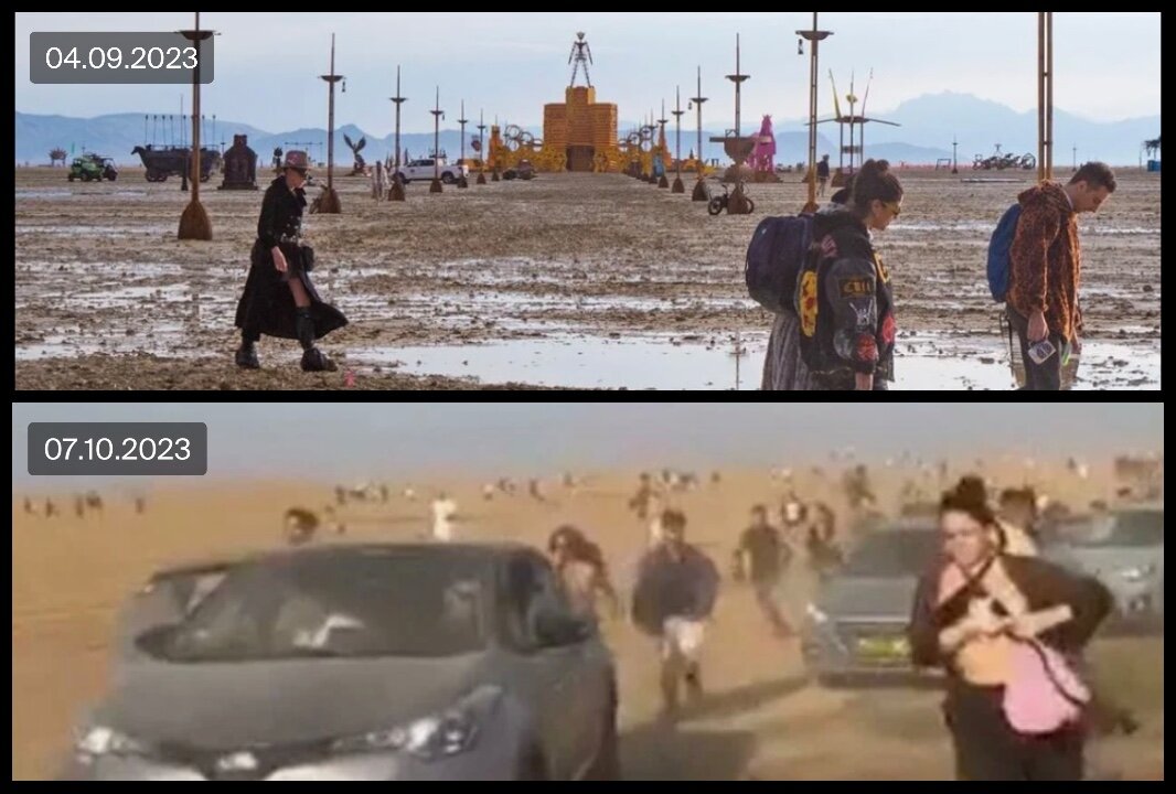 Фото из открытых источников Яндекс, коллаж автора 