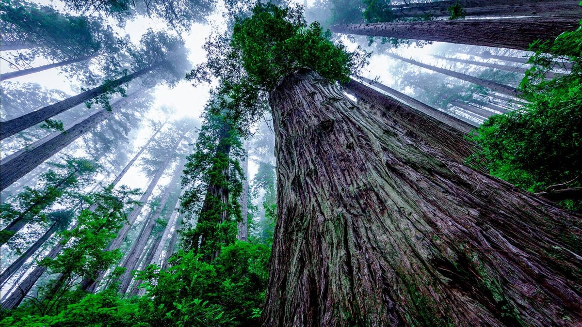 Высота более 150 метров