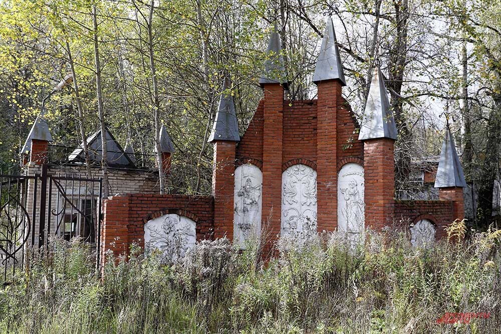    Фото:  АиФ/ Игорь Харитонов