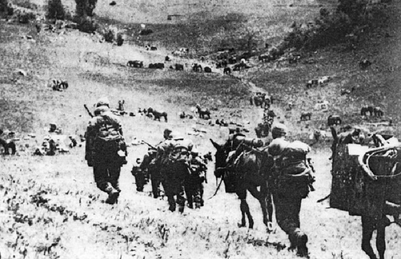 Немецкие солдаты на марше. Источник: MIBIHA/WikiCommons