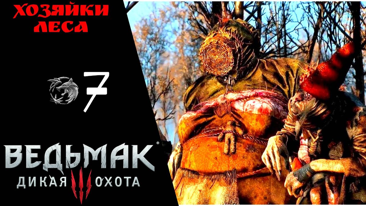 👁 Прохождение Ведьмак 3 Дикая охота ➆: Хозяйки леса, ведьмы, Волколак |  The Witcher 3 Wild Hunt | XakMaH games - прохождение игр | Дзен