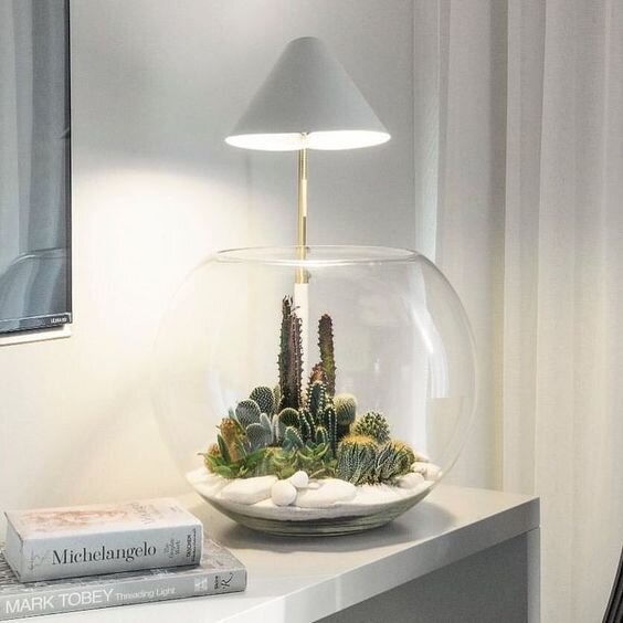 Pinterest, @succulentsnetwork