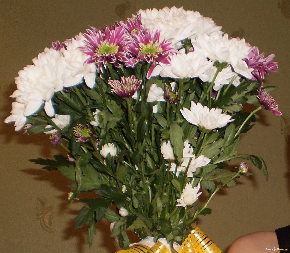 Яндекс картинки